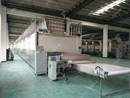 柔性材料加工設備 使用粉絲加工設備生產，這些關鍵問題不容忽視